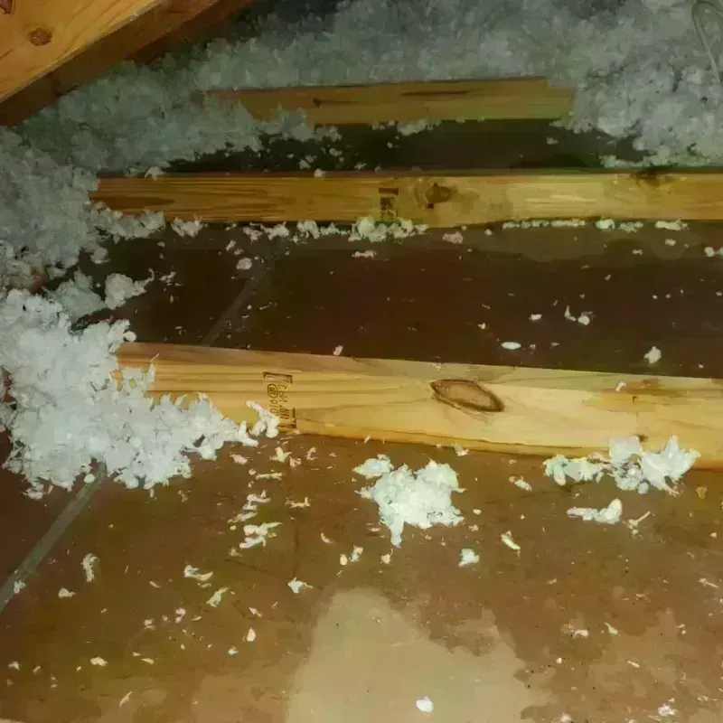 Attic Water Damage in Wythe County, VA